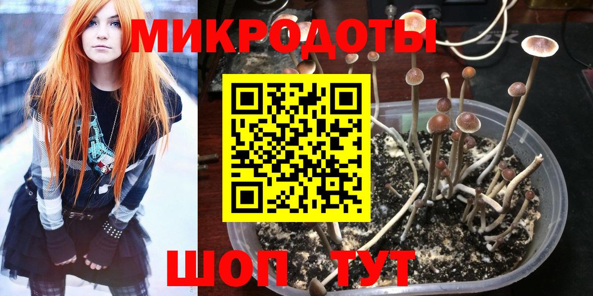Псилоцибиновые грибы Cubensis  Вход с VPN  Карпинск  Галлюциногенные грибы Psilocybe 